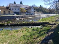 Zarybňování Litavky (3)